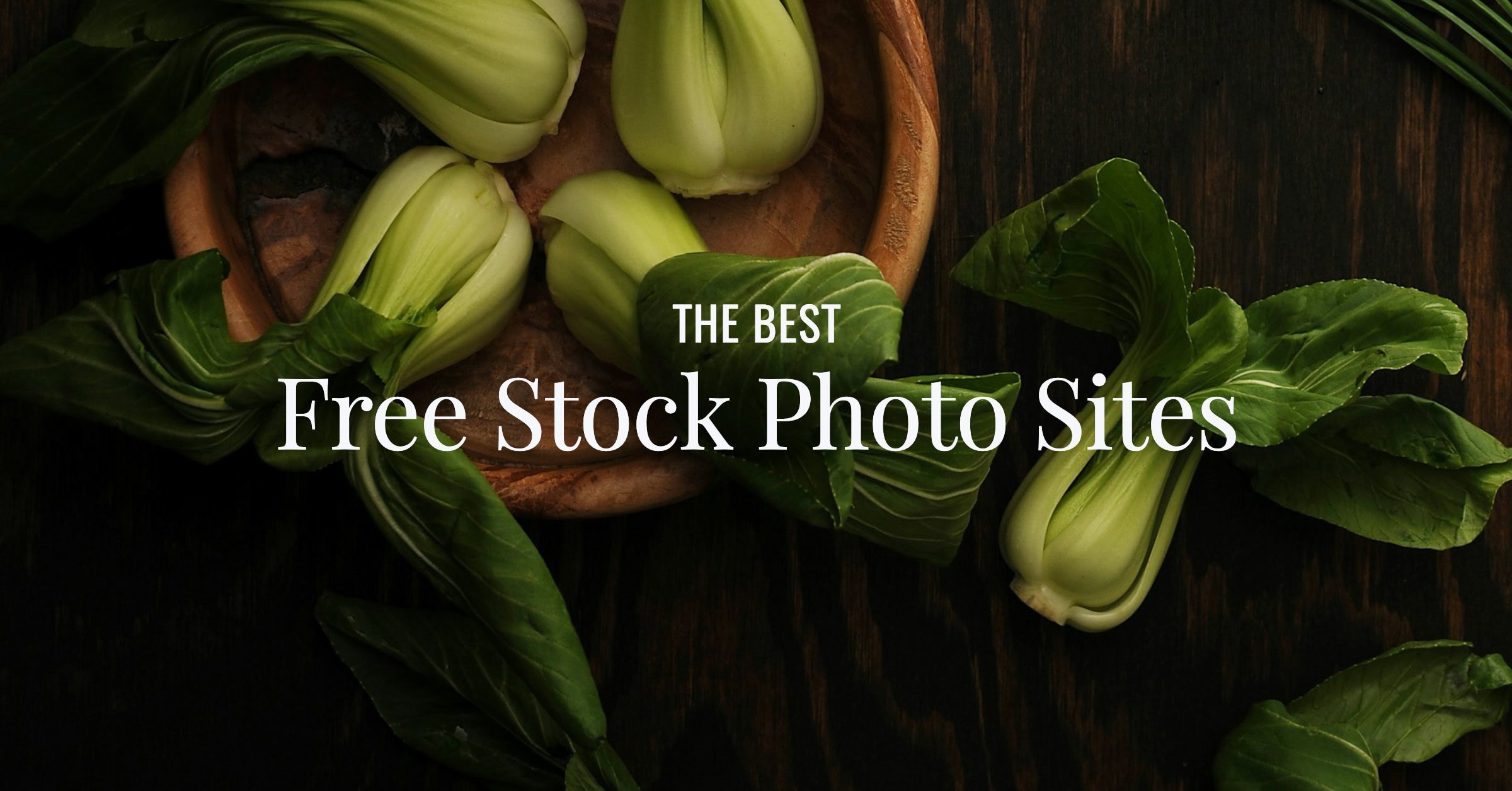 Best free stock photo sites blog featured image