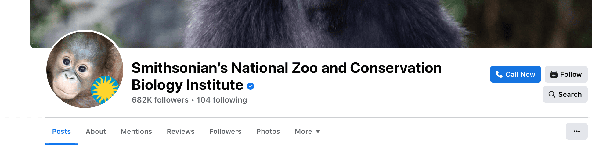 zoo branding facebook header example